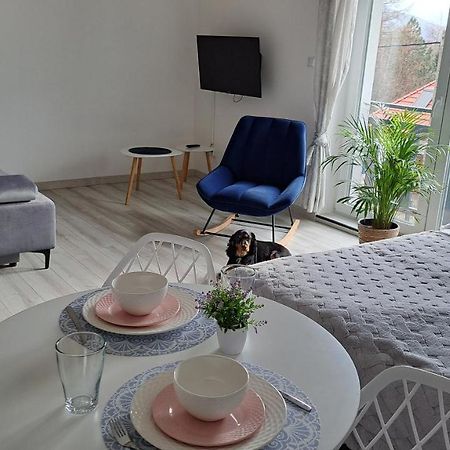 Apartamenty Bujaki Ustroń Eksteriør billede